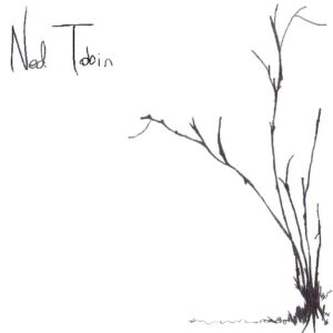 Wood N' Steel by Ned Tobin - cover